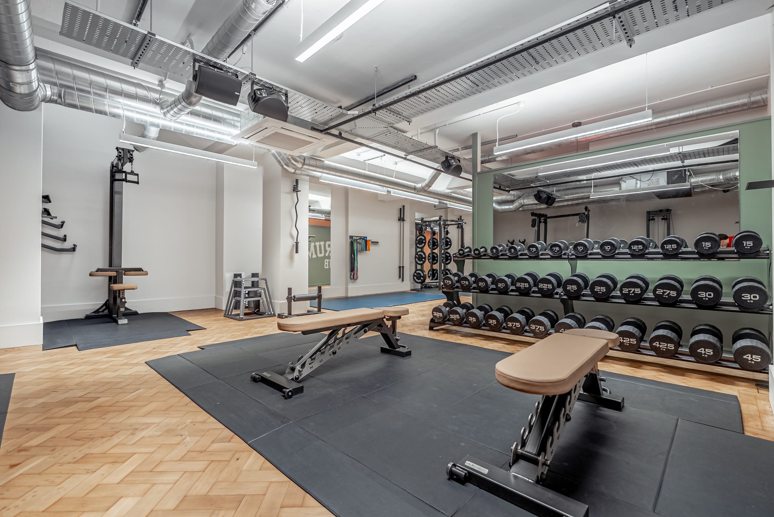 The gym floor: two tan leather benches on black matting, dumbbells racked along the sage wall and the squat racks beyond
