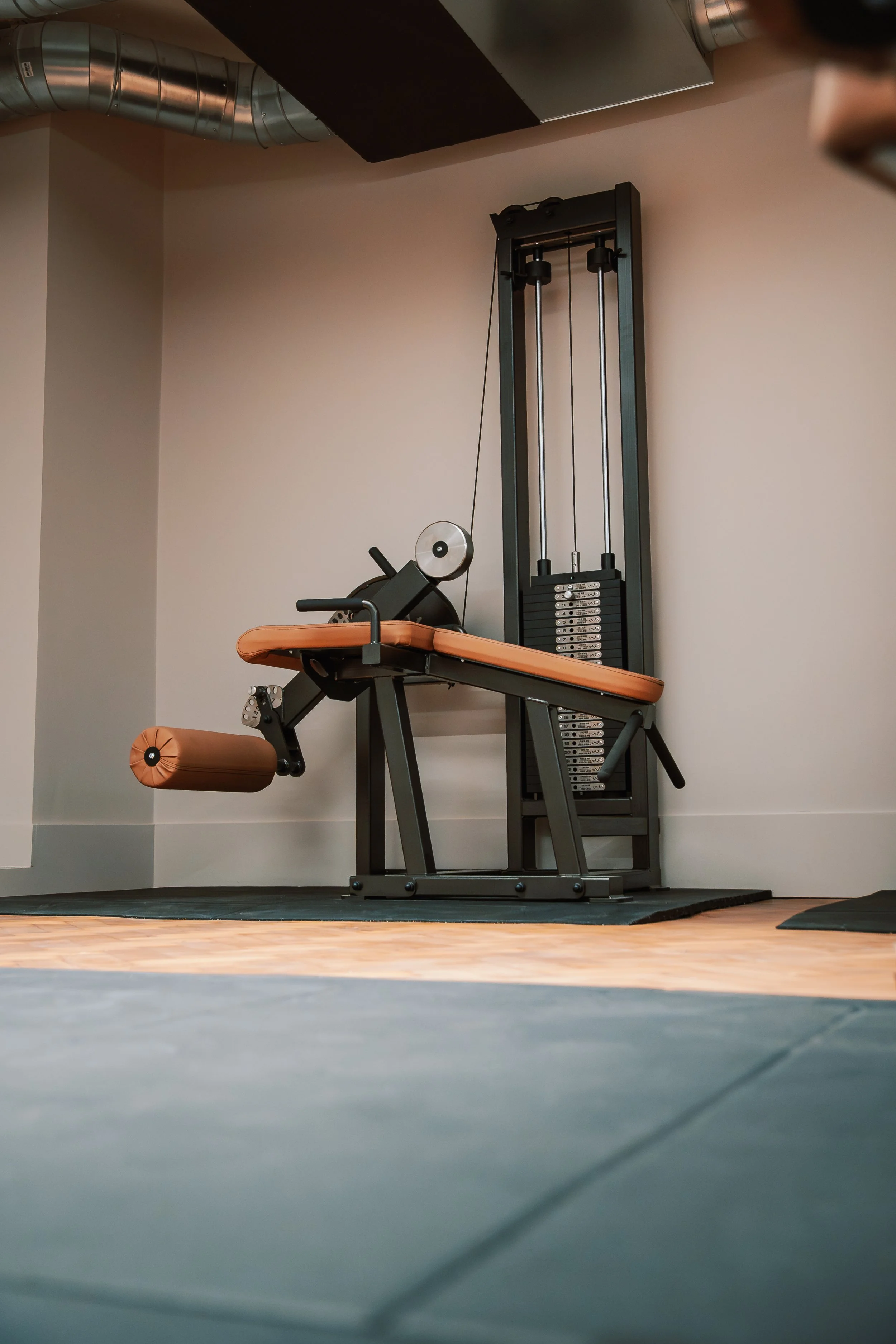 The lying leg curl machine with cognac leather pads, photographed from the floor